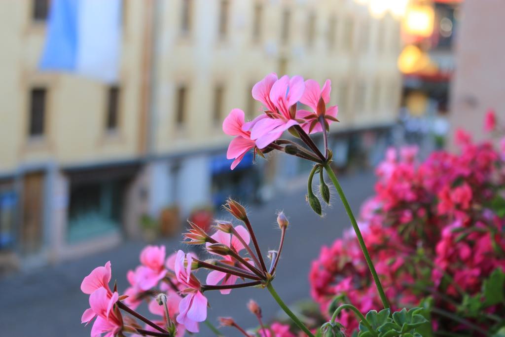 Hotel Montana กอร์ตินาดัมเปซโซ ภายนอก รูปภาพ